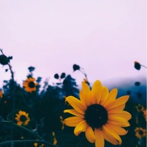 Meet your Posher, Kailyn